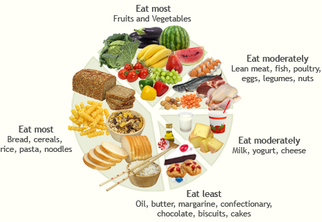 A chart showing the food groups