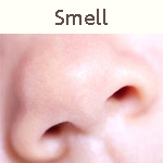 a baby's nose.