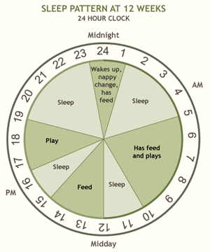 Diagram of a baby's sleep pattern at 12 weeks.